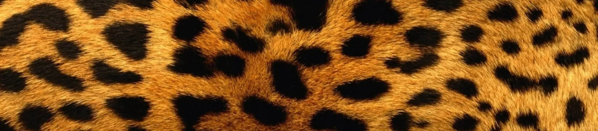 animal print